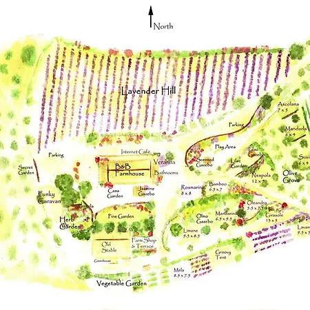 Agriturismo Lavanda Blu *