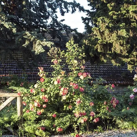 Agriturismo Lavanda Blu Vakantieboerderij Carassai