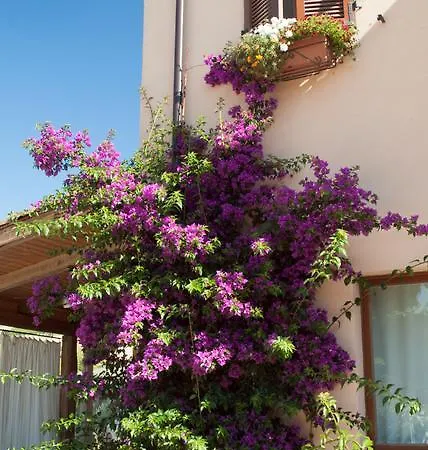 Agriturismo Lavanda Blu