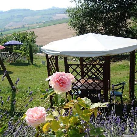 Farm stay Agriturismo Lavanda Blu