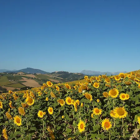 Farm stay Agriturismo Lavanda Blu *
