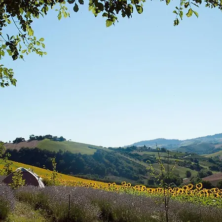 Agriturismo Lavanda Blu Farm stay *