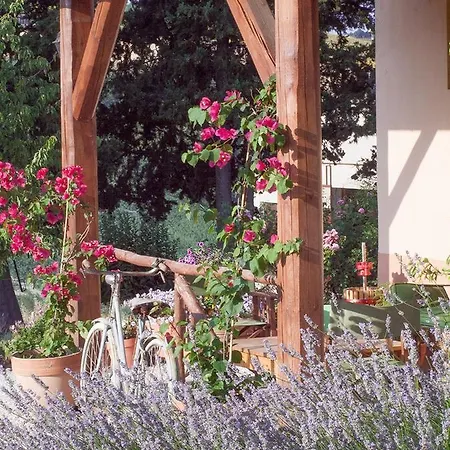 Agriturismo Lavanda Blu Farm stay Carassai