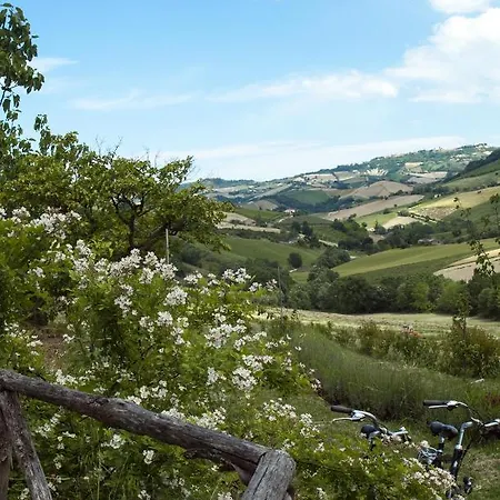 Agriturismo Lavanda Blu Farm stay