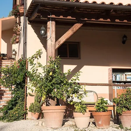 Agriturismo Lavanda Blu Farm stay *