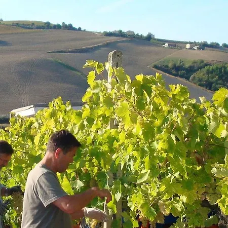 Agriturismo Lavanda Blu Farm stay *