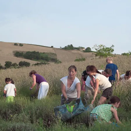 Agriturismo Lavanda Blu Farm stay *