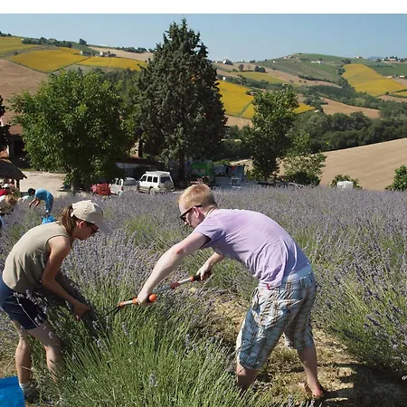 Agriturismo Lavanda Blu * Carassai